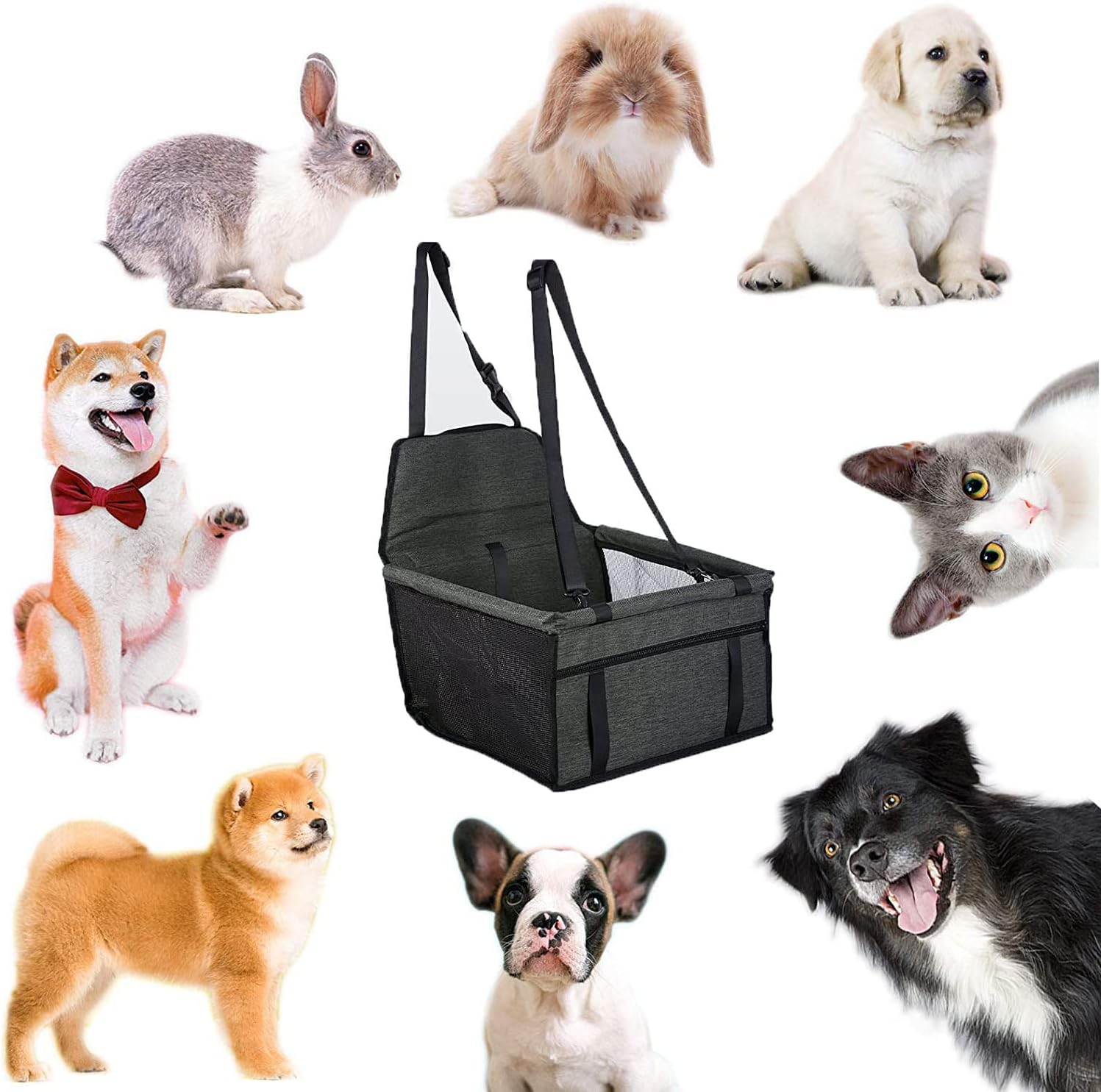 Thumbnail 5 de Pet Car Booster Seat travel carrier for small pets 🐾