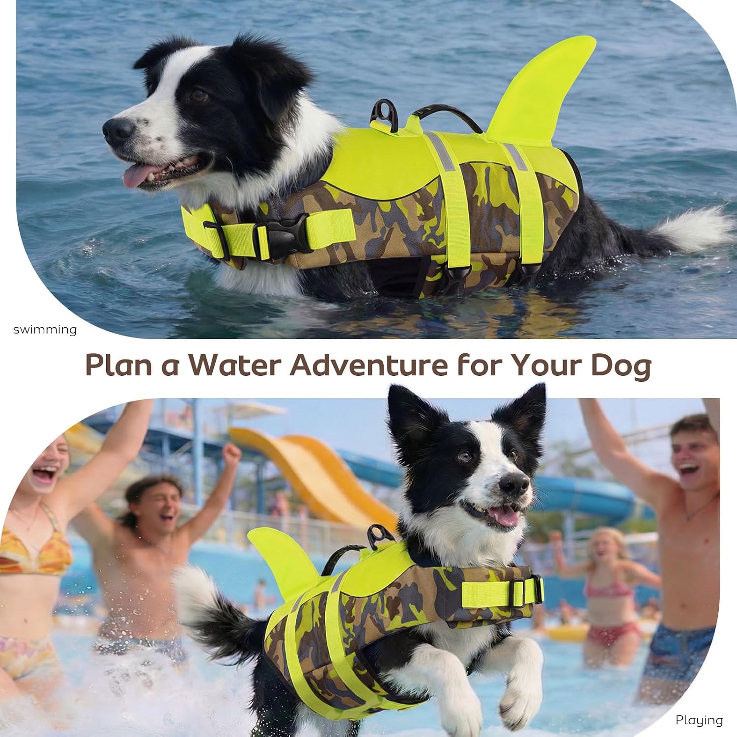 Detalle de CITÉTOILE Dog Shark Life Jackets Vest: Safe, Durable Buoyancy Aid for Your Dog