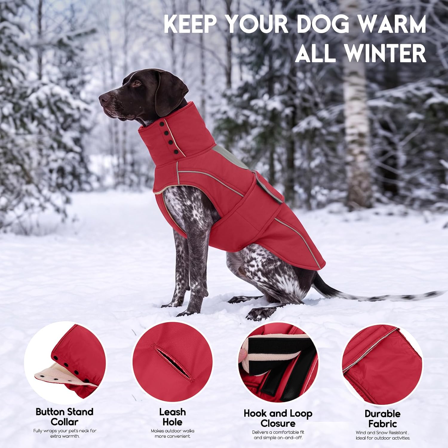 Detalle 2 de ASENKU Dog Coat, size M