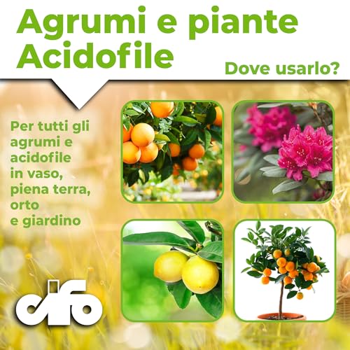 Detalle de CIFO Concime Agrumi a base di lupini macinati 2,5 Kg: nutrimento sostenibile per limoni, arance e piante acidofile