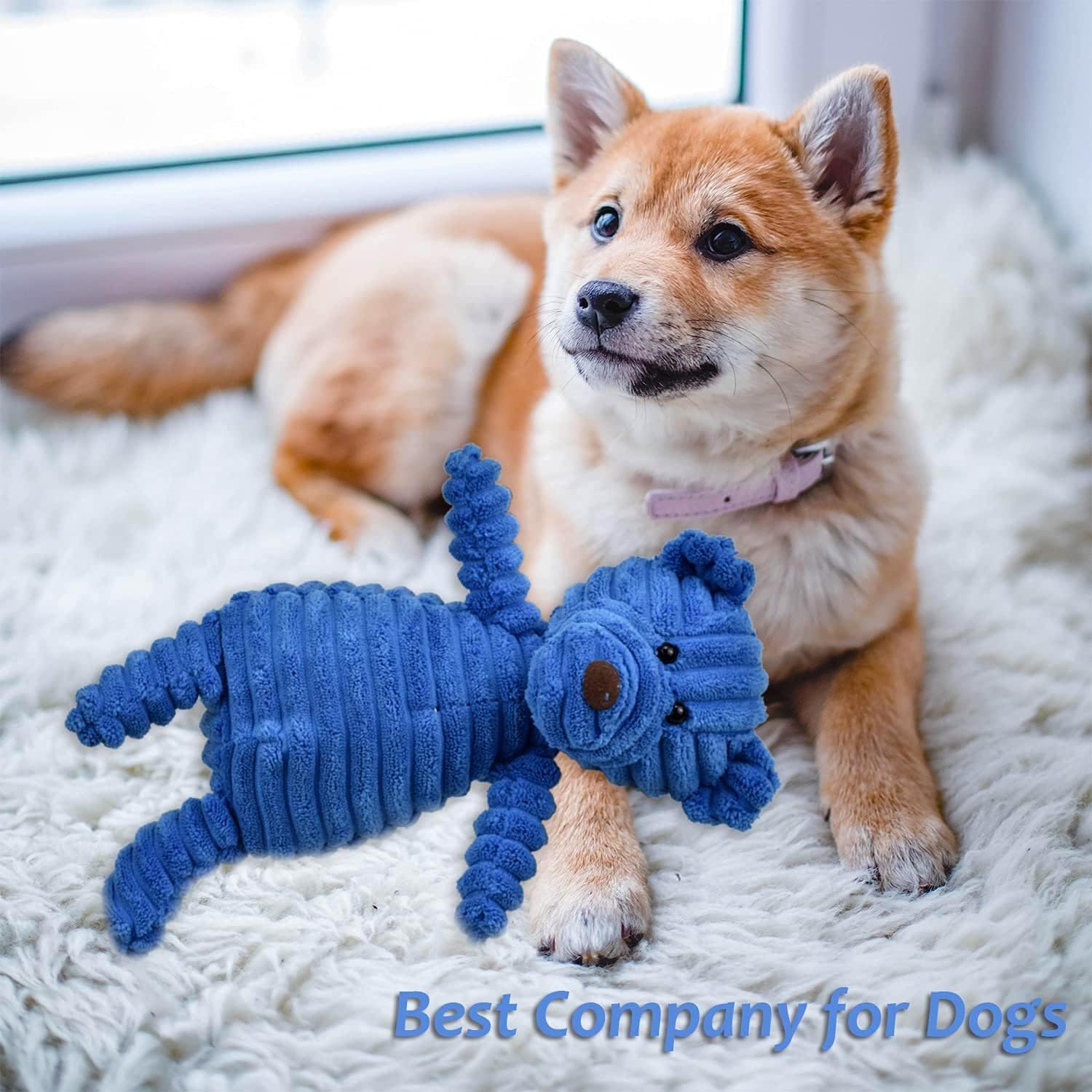 Thumbnail 6 de Ousiya 5-PACK Squeaky Dog Toys bundle