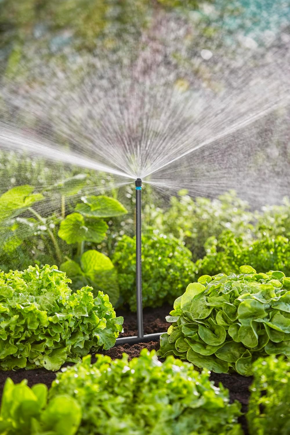 Thumbnail 5 de Gardena 13450-20 kit micro-irrigation goutte à goutte 60 m²