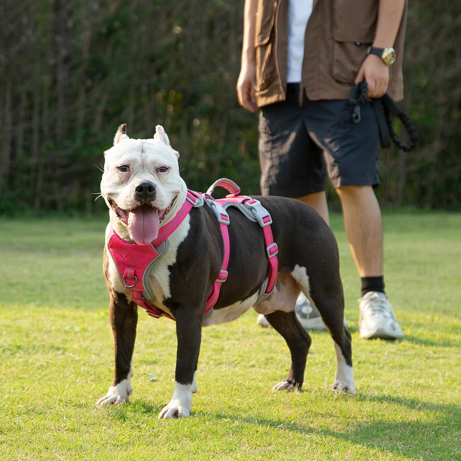 Thumbnail 6 de Huntboo Escape Proof Dog Harness (Medium, Rose Red, Size L) with Handle for Large Dogs
