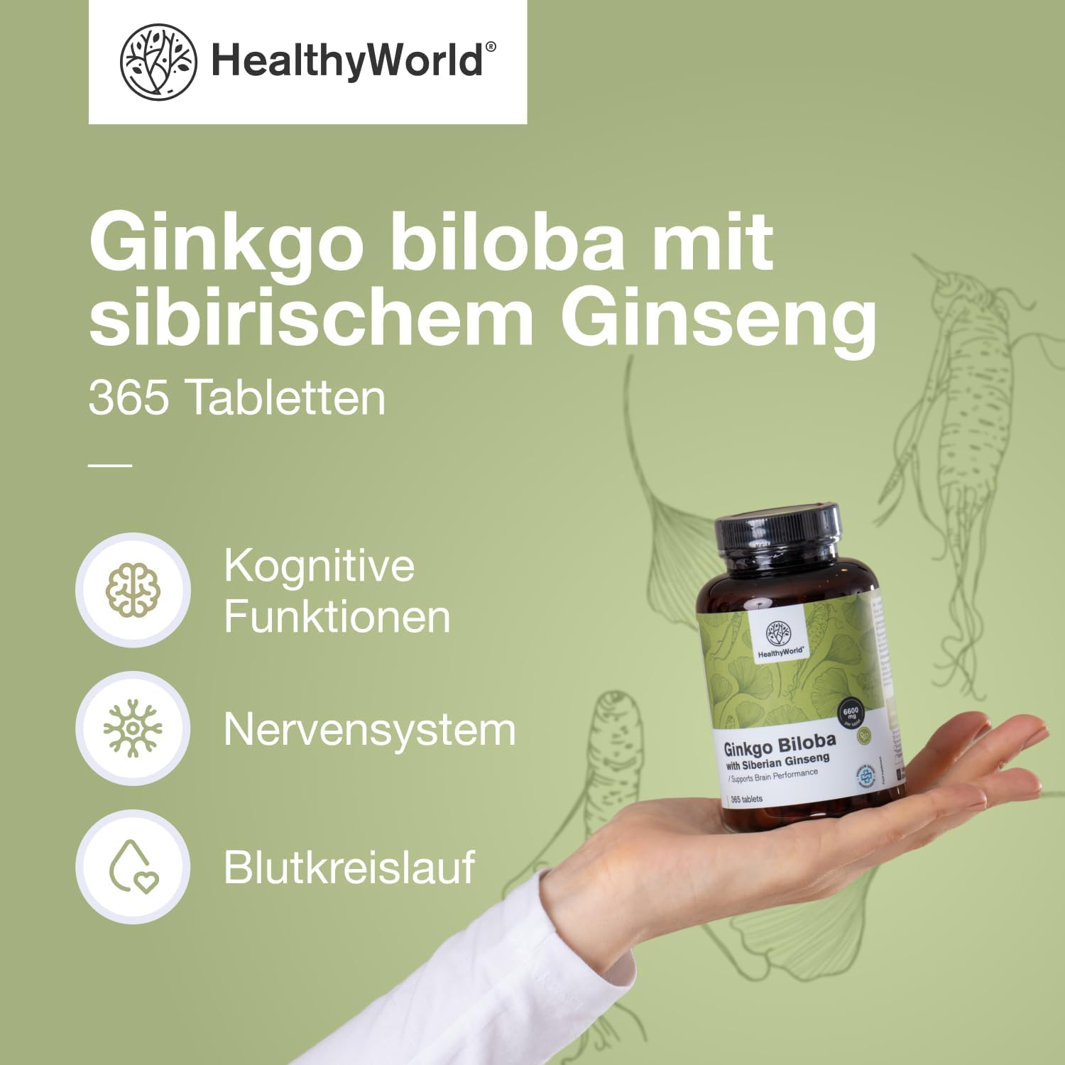 Detalle 2 de HealthyWorld Ginkgo Biloba mit sibirischem Ginseng (6.600 mg) – 365 Tabletten für die tägliche kognitive Unterstützung