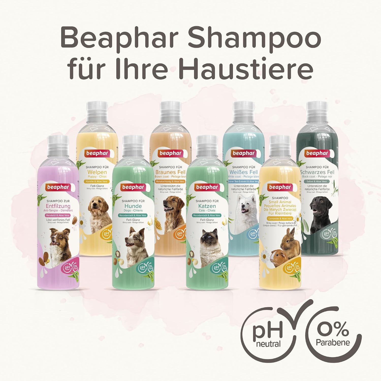 Thumbnail 6 de Beaphar Katzen Shampoo mit Macadamiaöl und Aloe Vera – pH-neutral, vegan, ohne Parabene (250 ml)