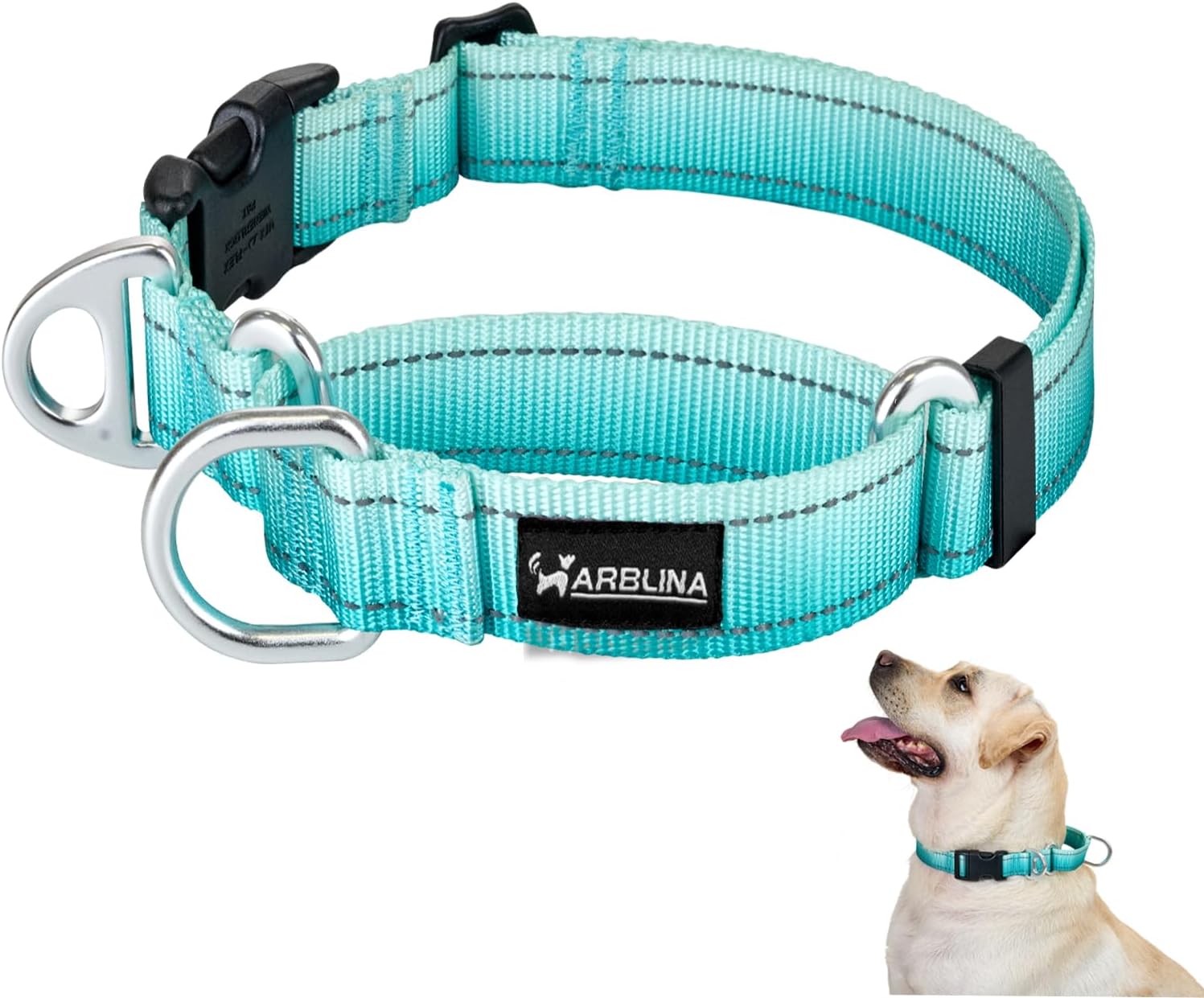 Detalle de Arblina Martingale Dog Collar with Reflective No-Pull Design