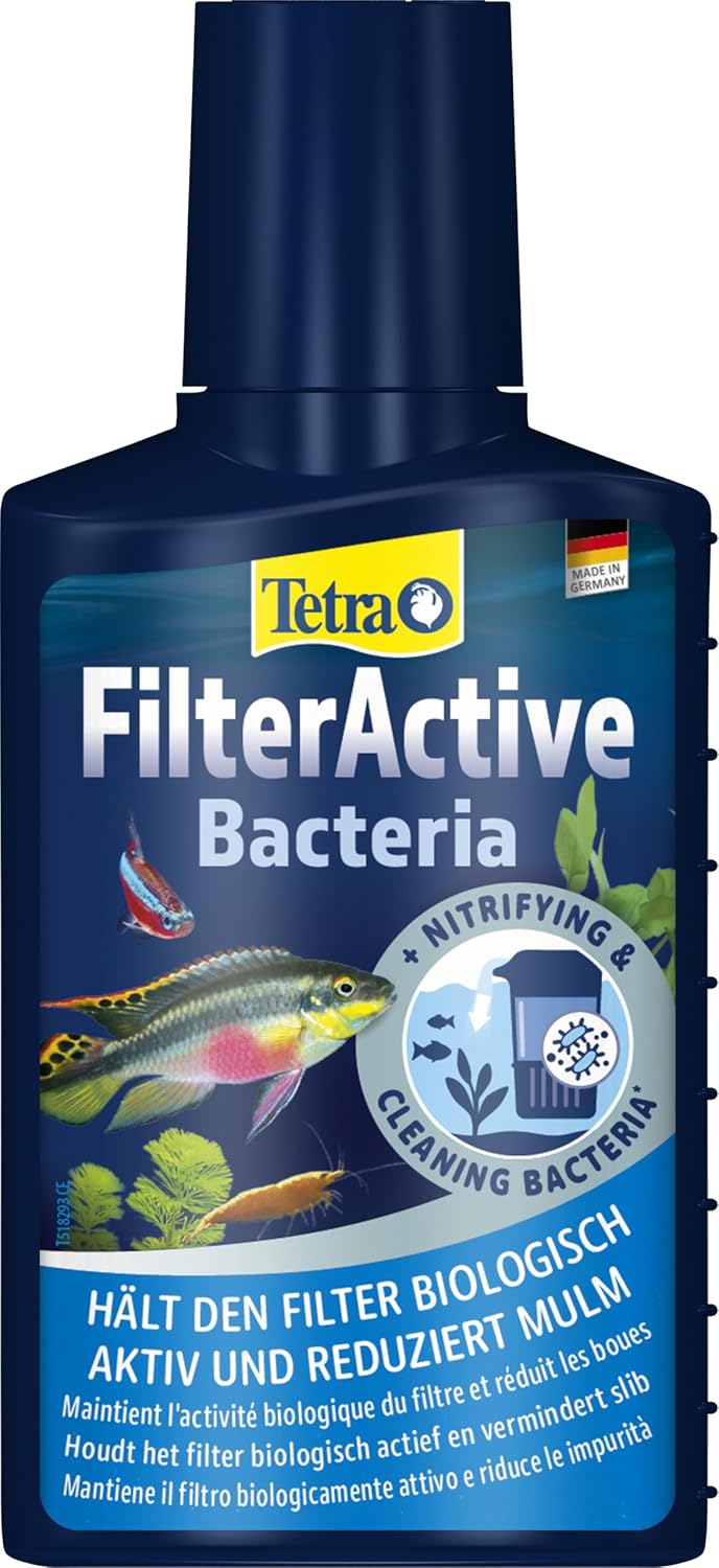 Thumbnail 4 de Tetra FilterActive 250 ml: batteri vivi per filtrare l’acqua e ridurre impurità