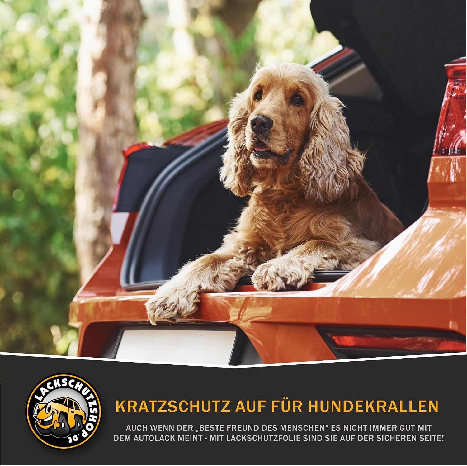Thumbnail 6 de LACKSCHUTZSHOP Lackschutzfolie VW Passat B9 Variant 2024