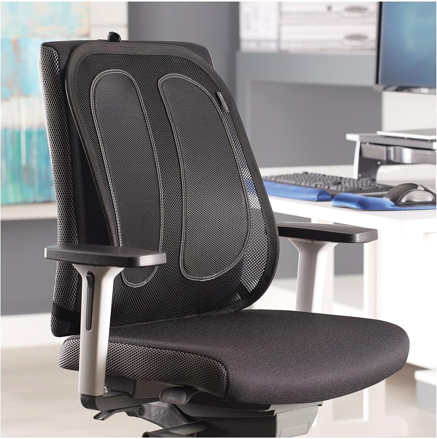 Thumbnail 1 de Fellowes Supporto schiena in rete Office Suites, nero