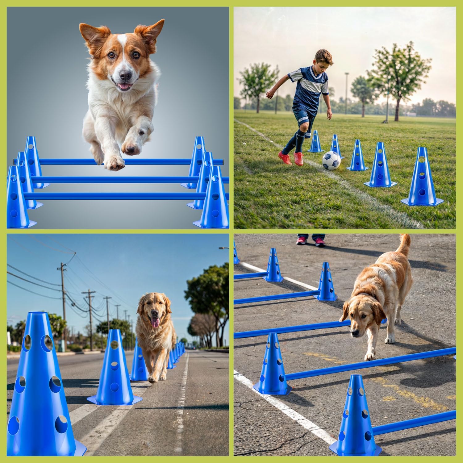 Detalle 2 de all Pets United® Steckhürden-Set für Hunde (Agility Trainingszubehör) – 4 Sets mit Stange und Hütchen