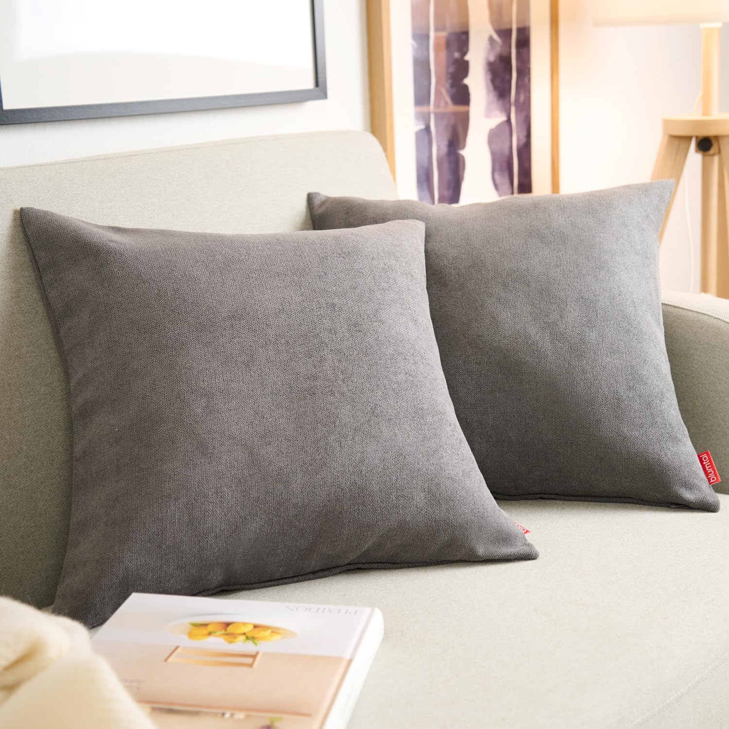 Detalle de Blumtal Housse de Coussin 50x50 cm, 2 pièces en chenille douce - Anthracite
