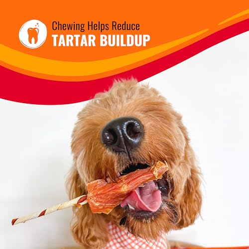 Detalle de Good 'n' Fun Kabobs Long-Lasting Dog Treat Made With Real Protein, 24 oz