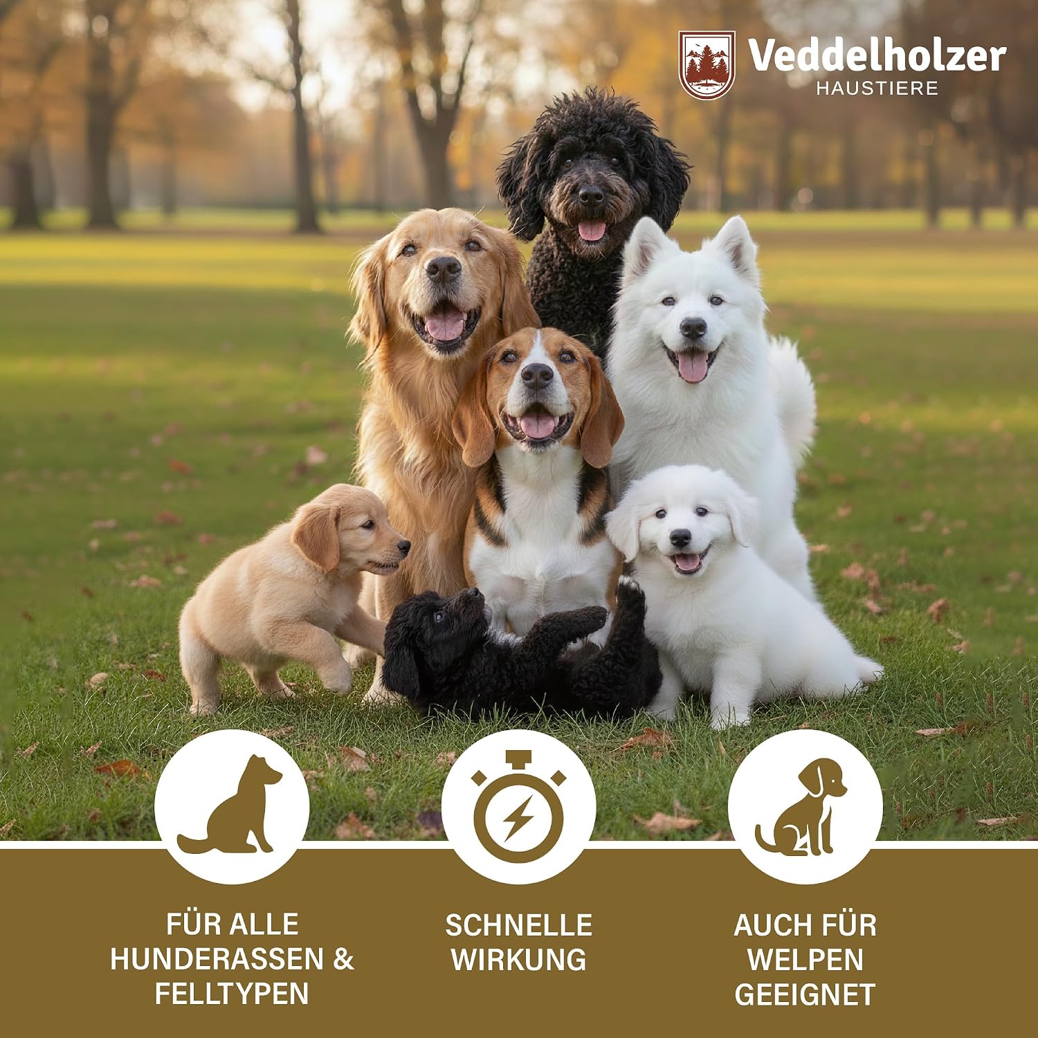 Detalle de Veddelholzer Juckreizspray für Hunde – 500 ml: Beruhigendes Pflegespray mit Nano-Silber, Aloe Vera & Ringelblume