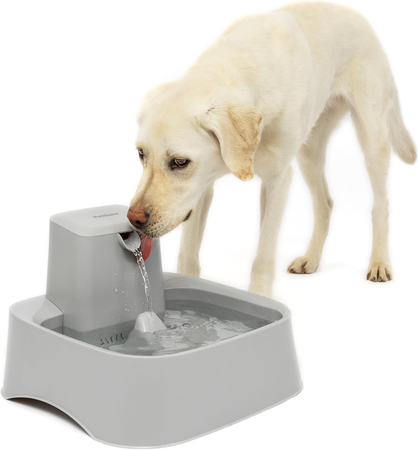 Detalle de PetSafe Pet Fountain 2 Gallon