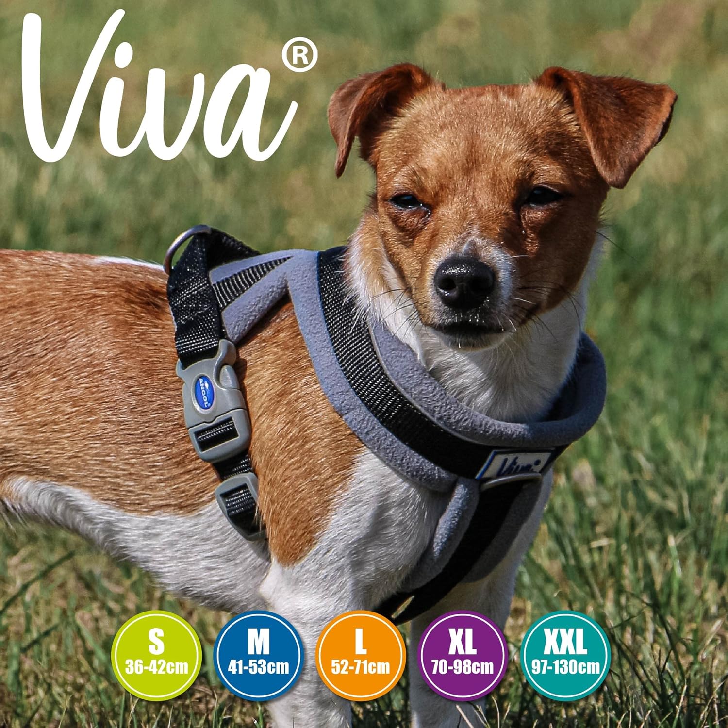 Detalle de Ancol Viva Padded Harness (Black, Size S 36–42cm) with reflective trim