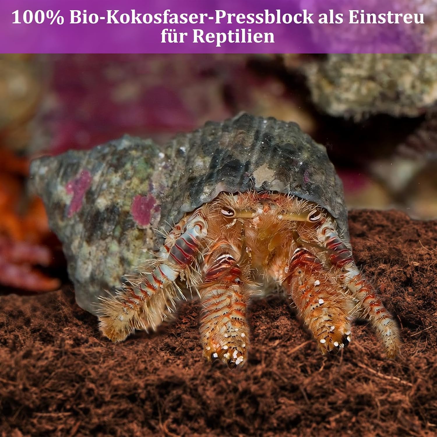 Thumbnail 3 de Kokosfaser-Substrat für Terrarien, 1 Stück