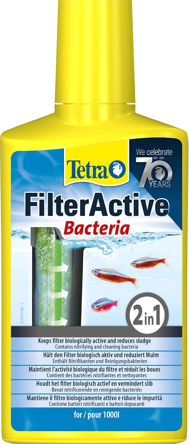 TETRA FilterActive - Préserve la Propreté du Filtre d'Aquarium, Bactéries Vivantes en 250 ml