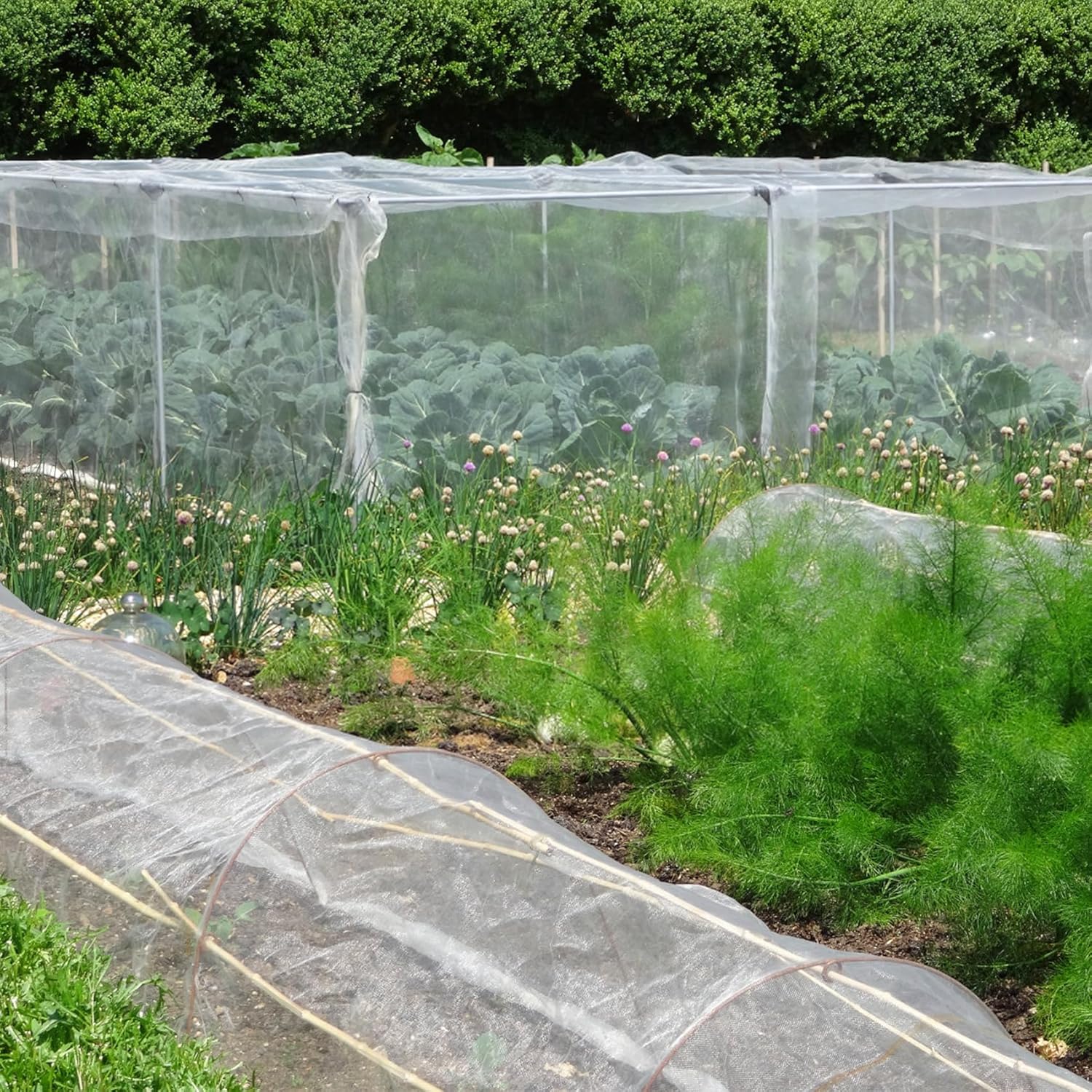 Thumbnail 6 de 2.5x3M Insect Netting for Vegetables: 3-in-1 Garden Protection Pack