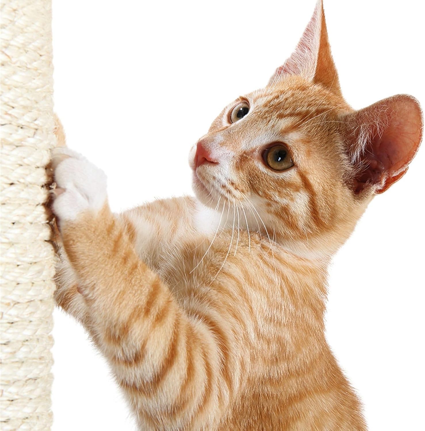 Detalle de TRIXIE Replacement Sisal Post for Scratching Posts, Cat Trees and Cat Towers (3.5 in x 15.7 in)