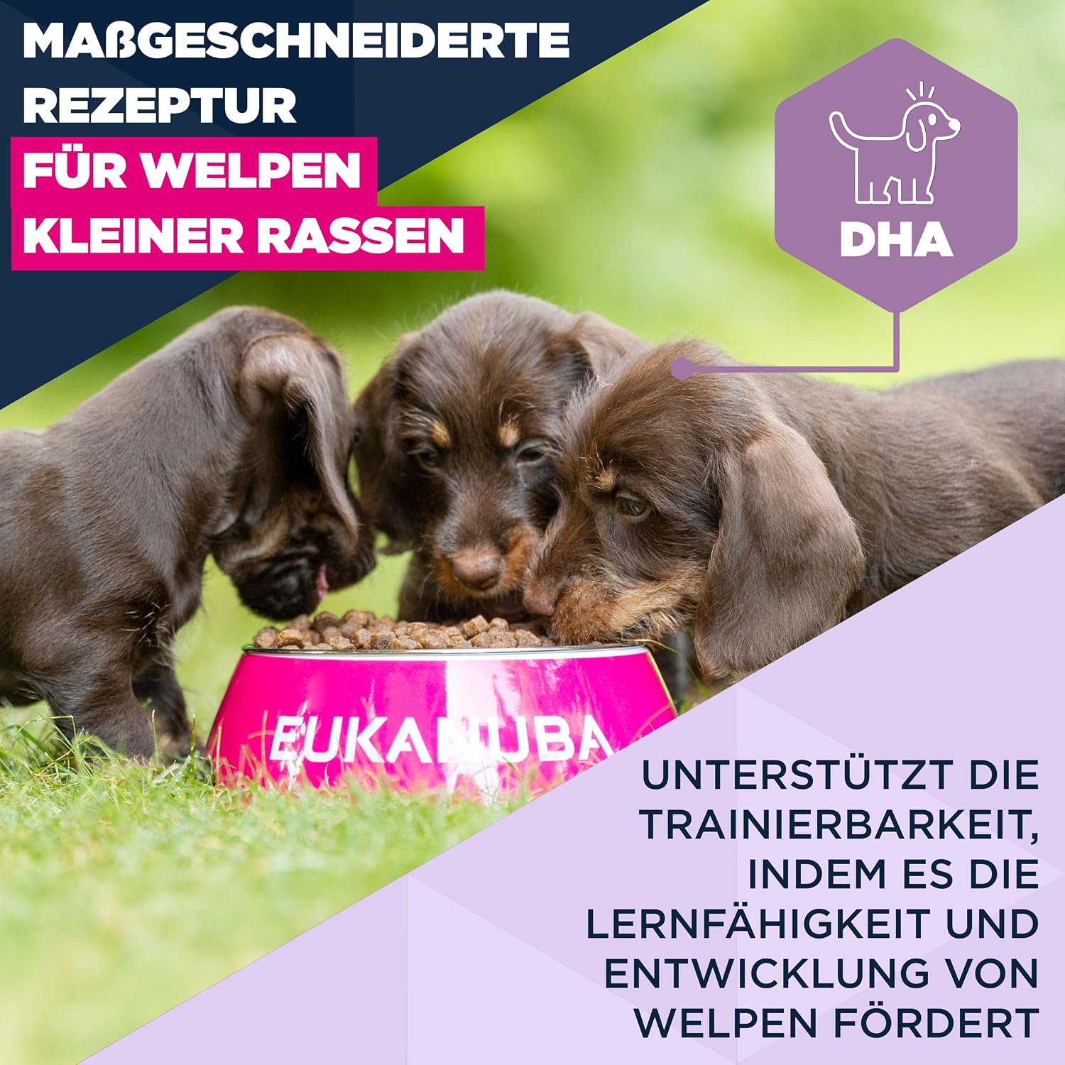 Detalle de Eukanuba Welpenfutter mit frischem Huhn für kleine Rassen (Junior) – Premium Trockenfutter, 3 kg