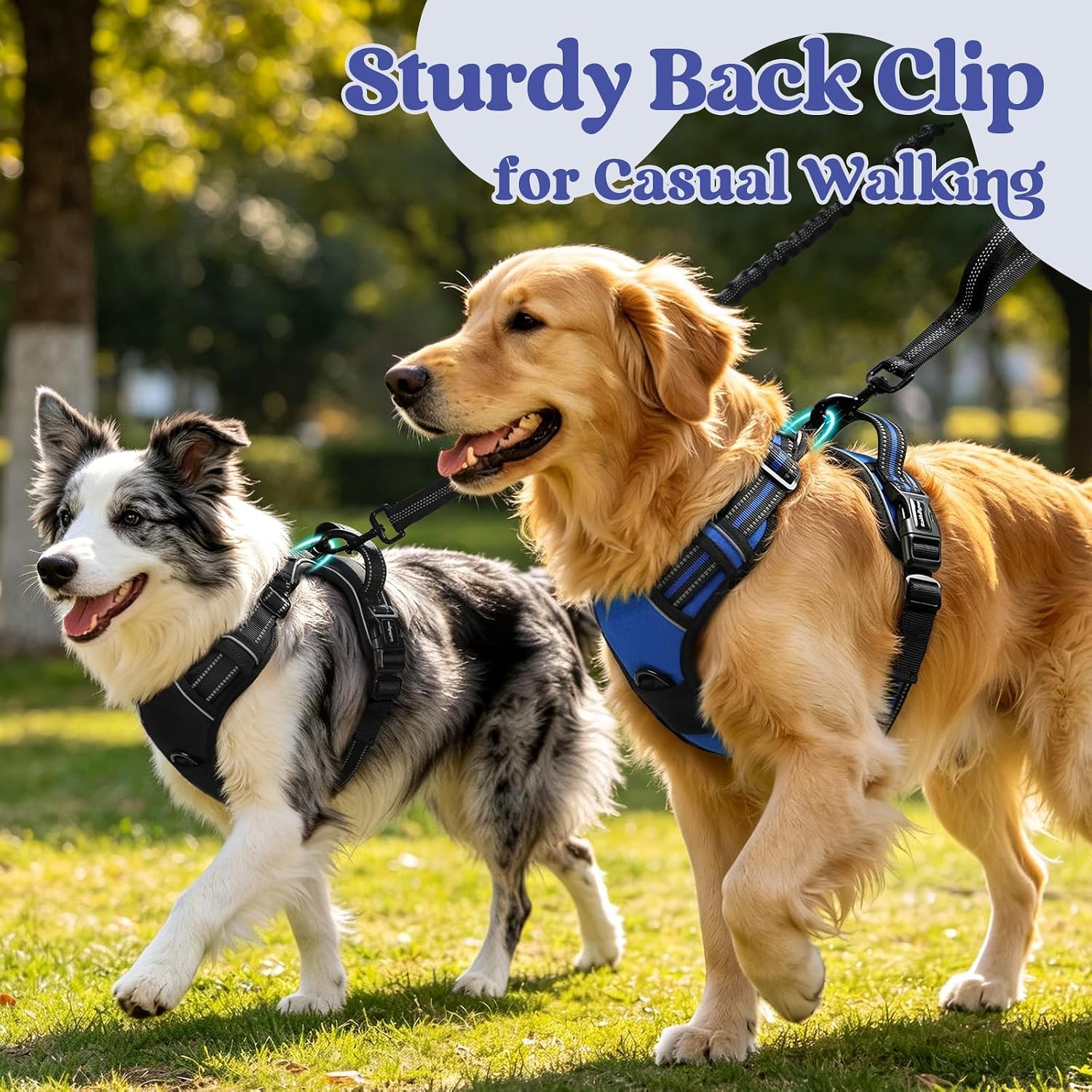 Thumbnail 4 de rabbitgoo No-Pull Dog Harness L, 3 Buckles