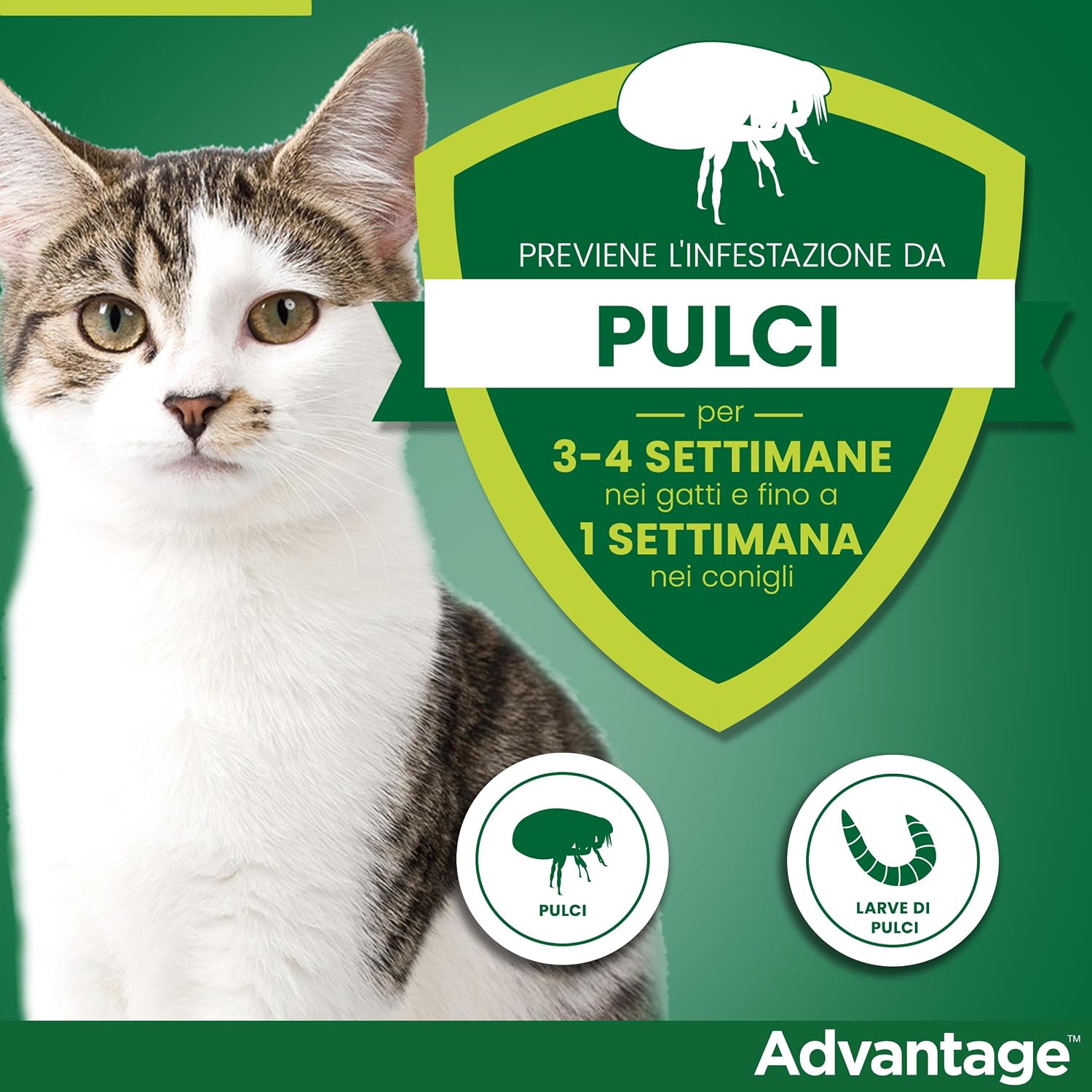 Detalle de Advantage spot-on per gatti grandi (4 pipette) – Trattamento antipulci Elanco