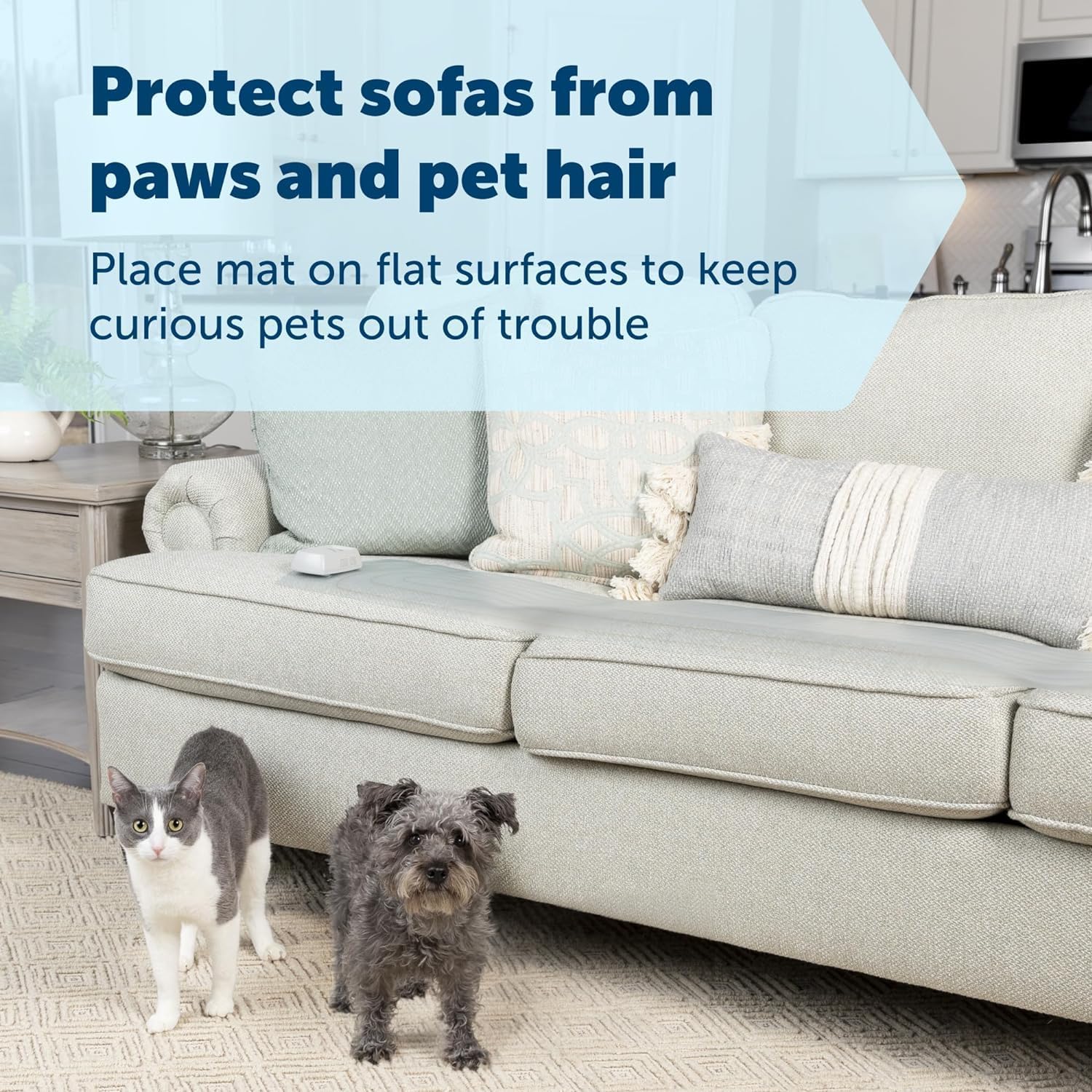 Thumbnail 1 de PetSafe ScatMat Indoor Training Mat
