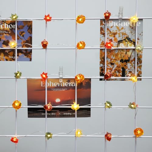 Thumbnail 7 de Liyade Guirlande lumineuse d'automne, 2,2 m - 20 LED 3D, minuterie et piles
