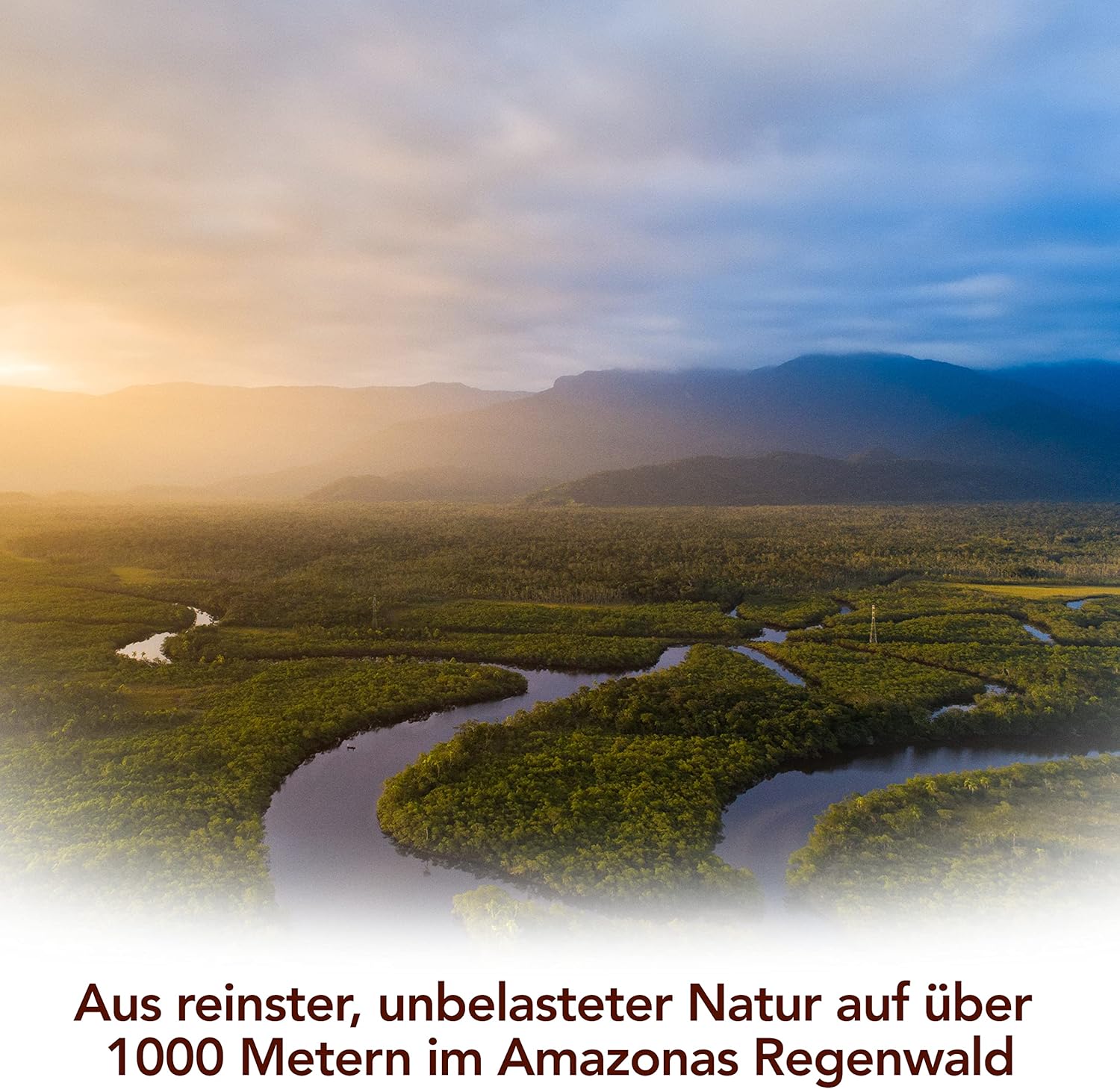 Detalle 2 de Premium Drachenblut 100 ml – 100% reines Naturprodukt aus amazones Regenwald