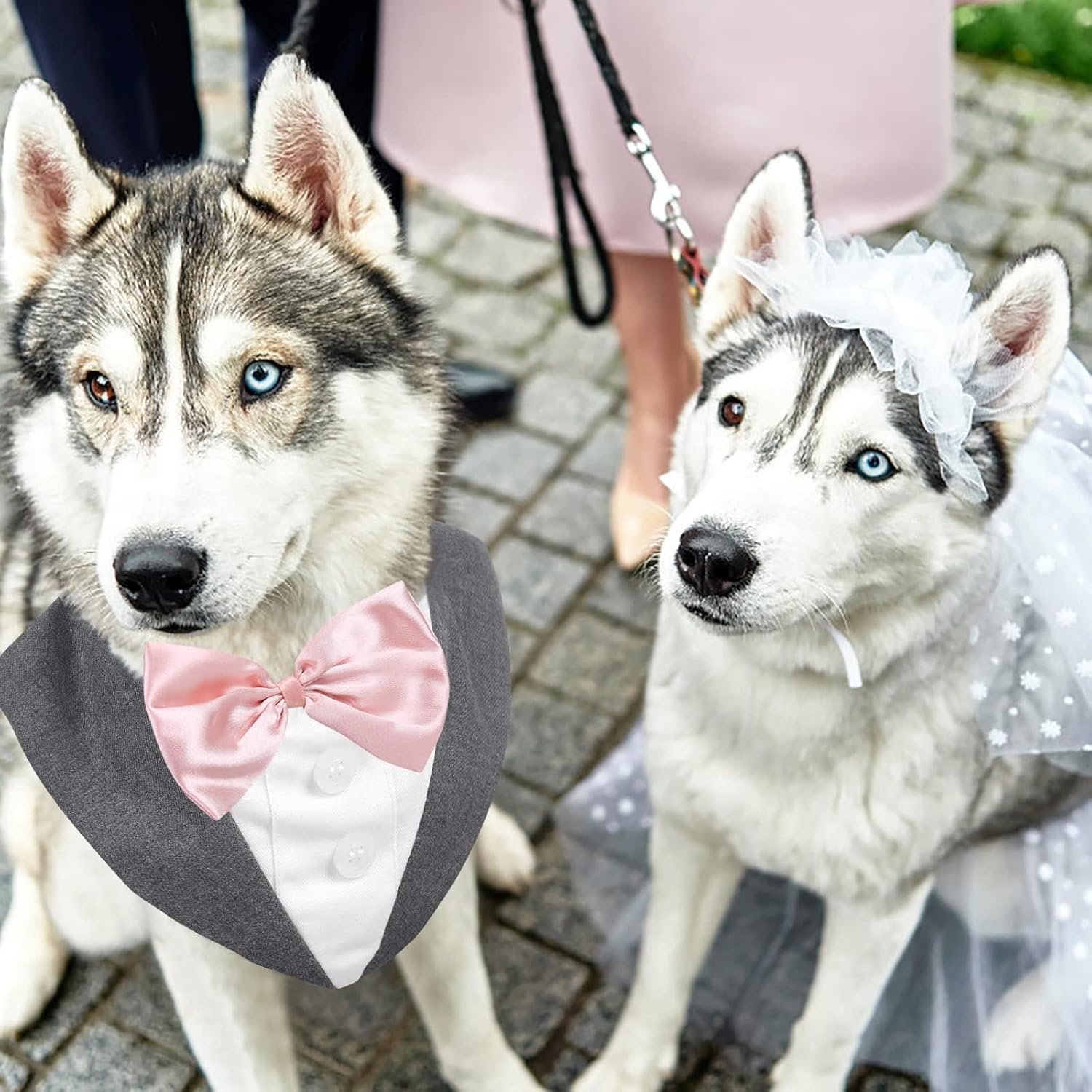 Thumbnail 6 de AOFITEE Dog Tuxedo Formal Suit and Bandana Set