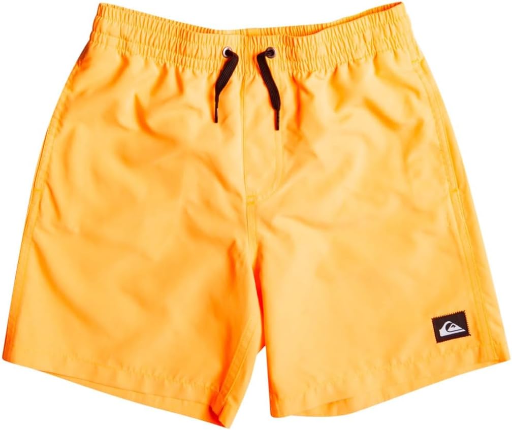 Thumbnail 6 de Quiksilver Everyday 13" Bermuda da bagno per ragazzo 8-16