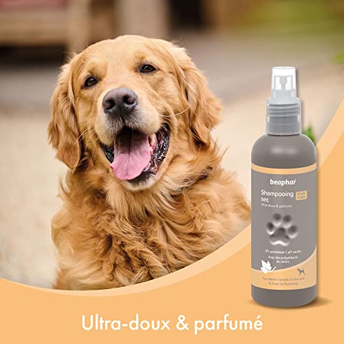 Detalle 2 de BEAPHAR Spray Shampoing Sec Premium Ultra-Doux pour Chien – 200 ML