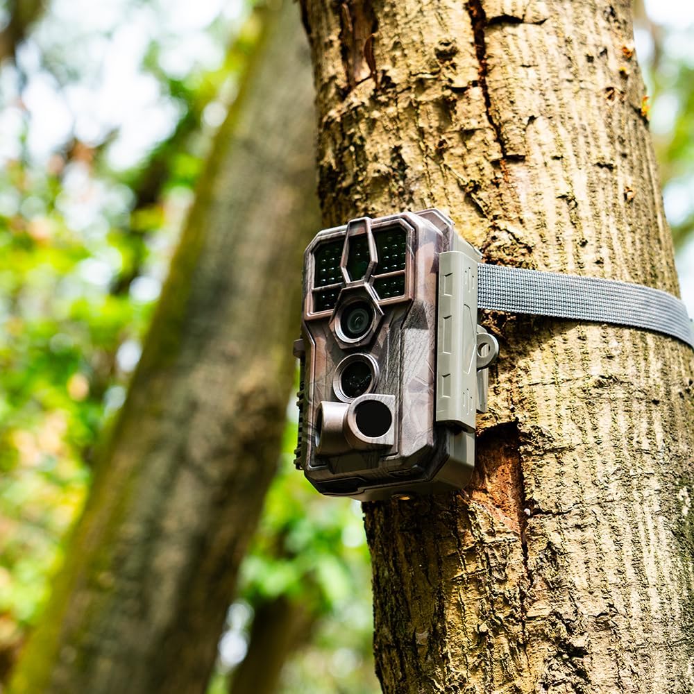 Detalle 2 de GardePro E5S 64MP trail camera