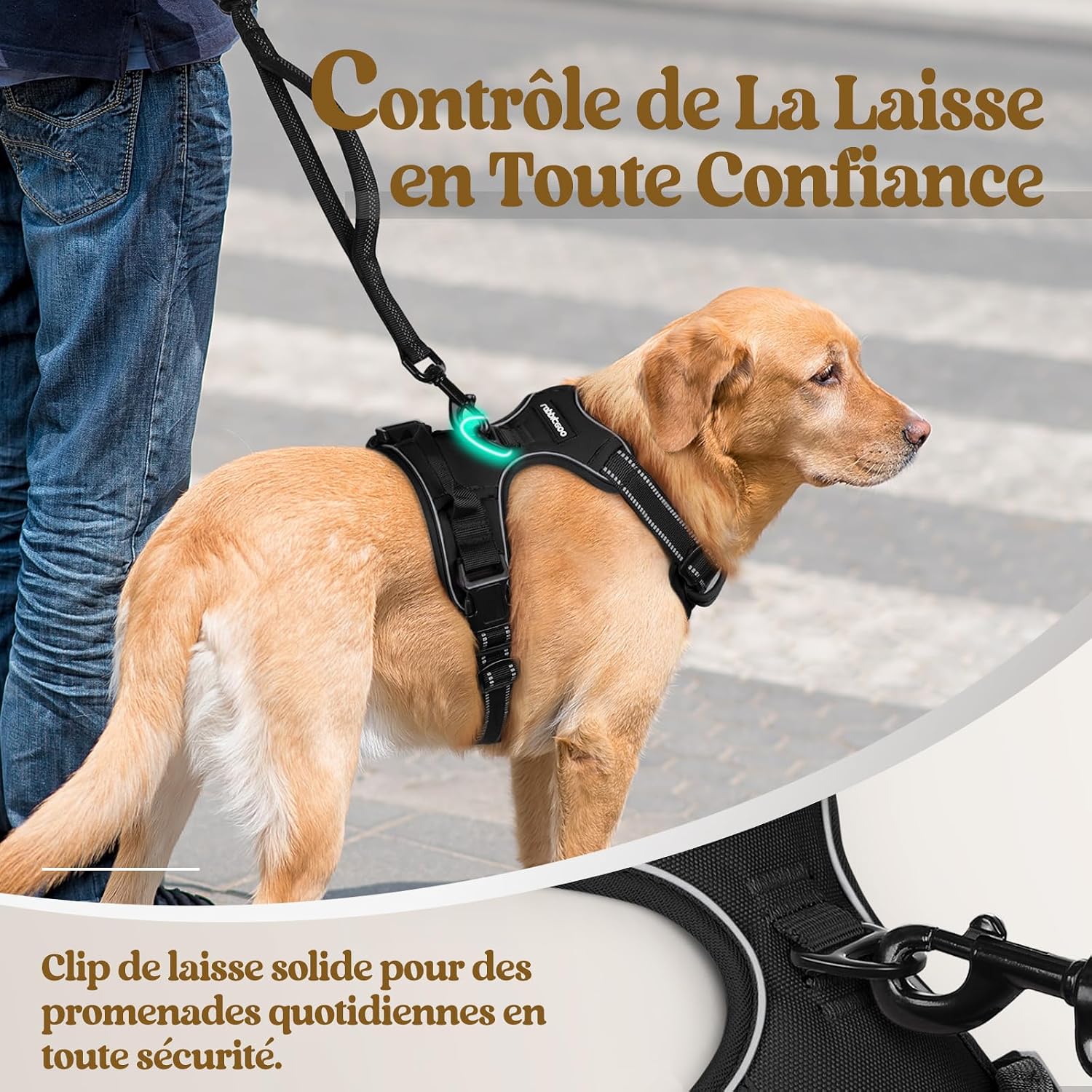 Thumbnail 5 de rabbitgoo Harnais chien anti-traction L avec poignée