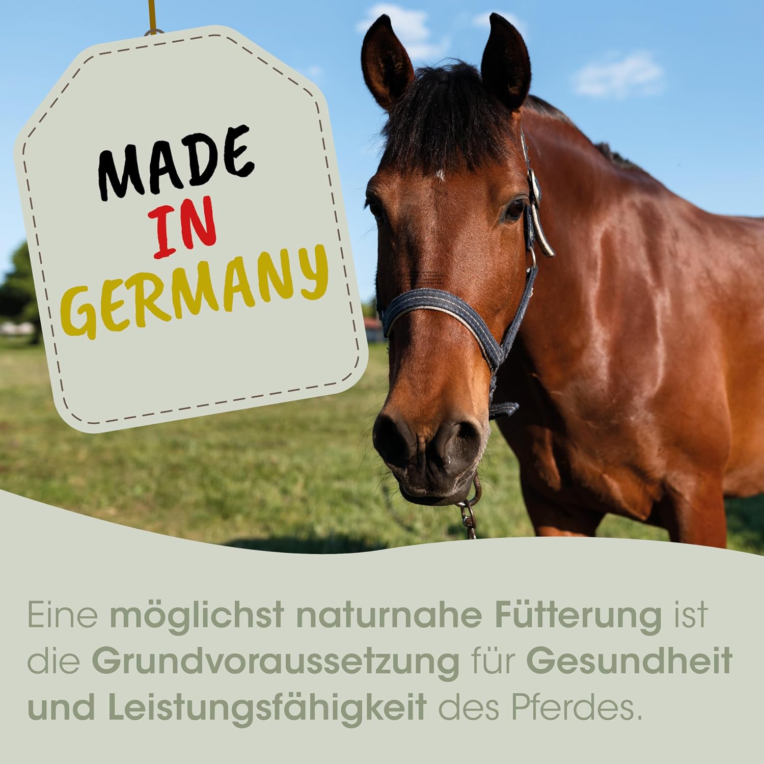 Detalle 2 de EquiGreen Mineralergänzungsfuttermittel Pferde 1 kg