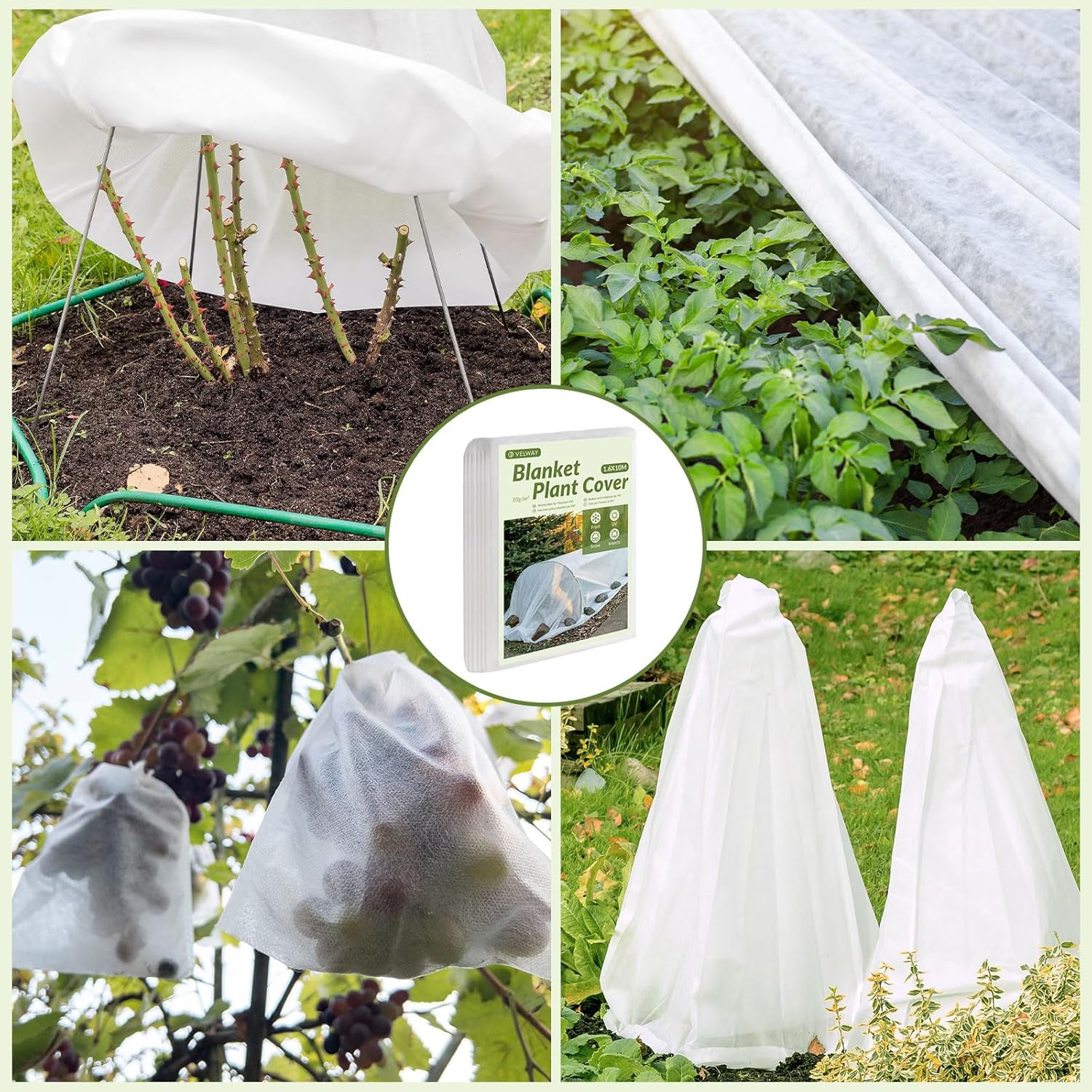 Thumbnail 5 de Protección contra Heladas 1.6x10m para plantas