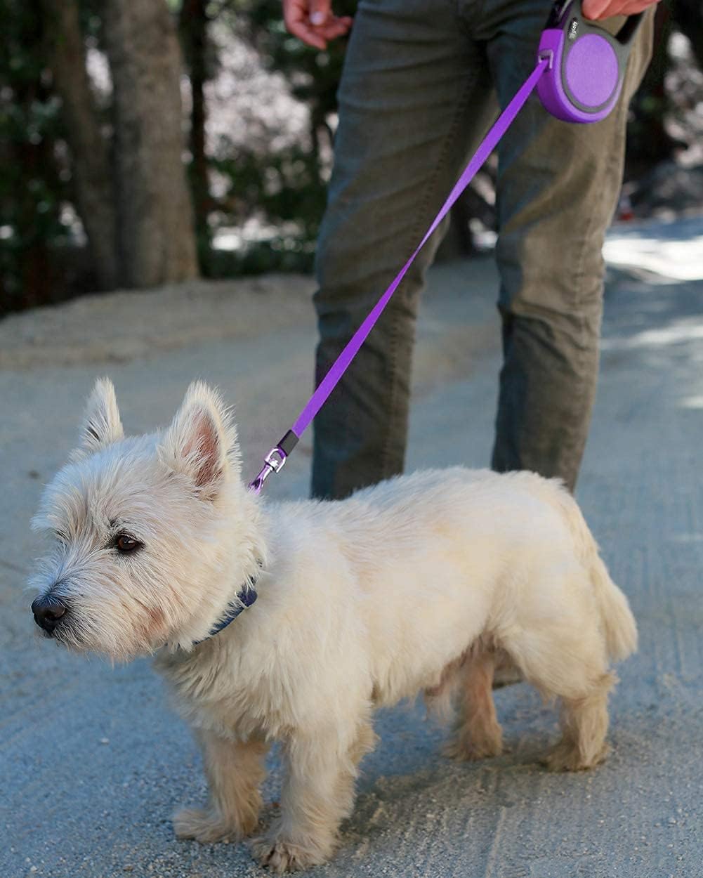 Thumbnail 6 de Taglory Retractable Dog Lead 5 m (Purple) – 360° No-Tangle Extendable Leash for Small & Medium Dogs up to 20 kg