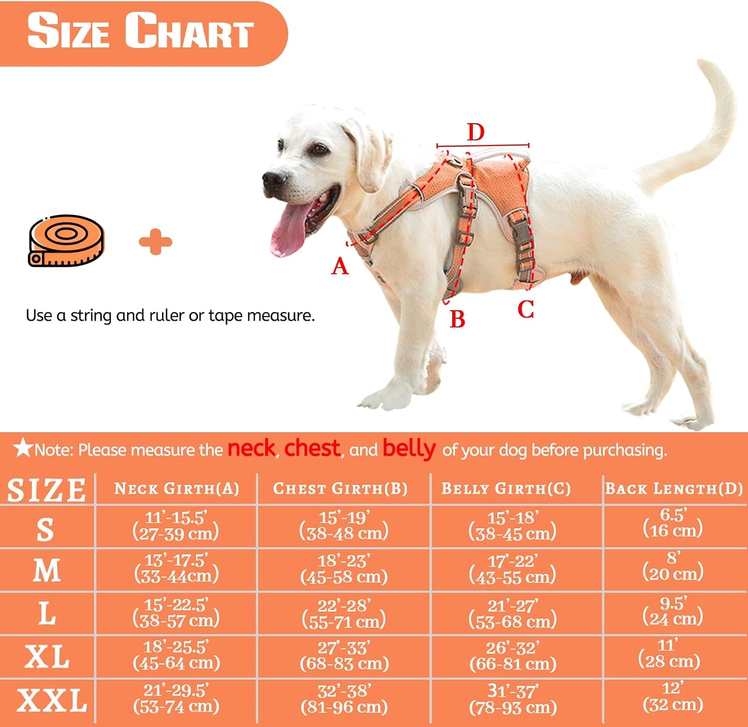 Detalle 2 de BELPRO Multi-Use Support Dog Harness for Large/Active Dogs