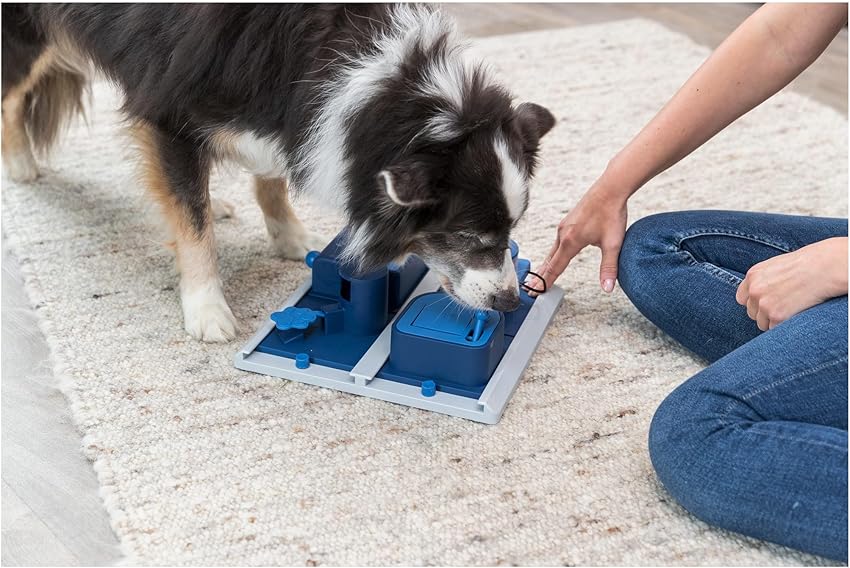 Thumbnail 1 de Trixie Dog Activity Poker Box 2, Juguete Interactivo para Perros 🐾