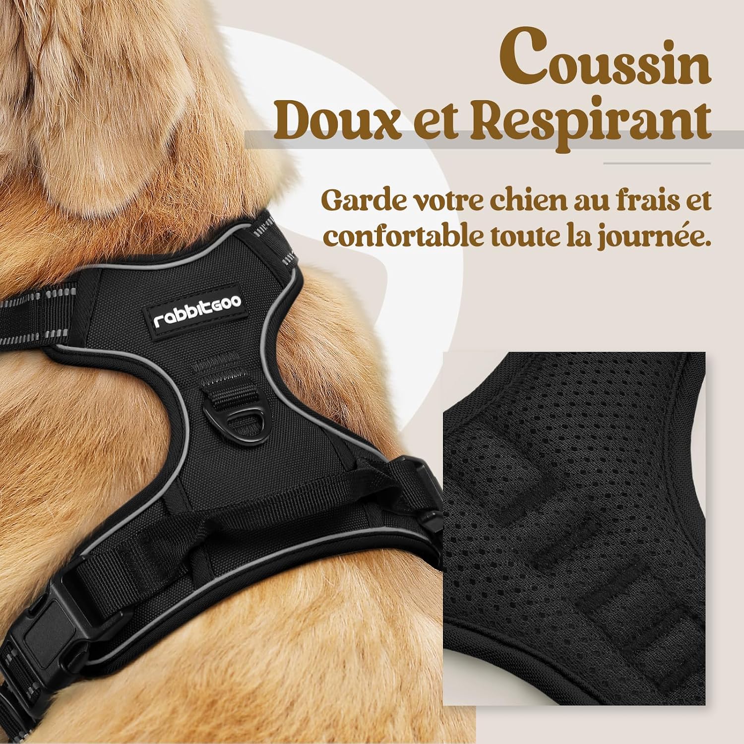 Detalle de rabbitgoo Harnais chien anti-traction L avec poignée