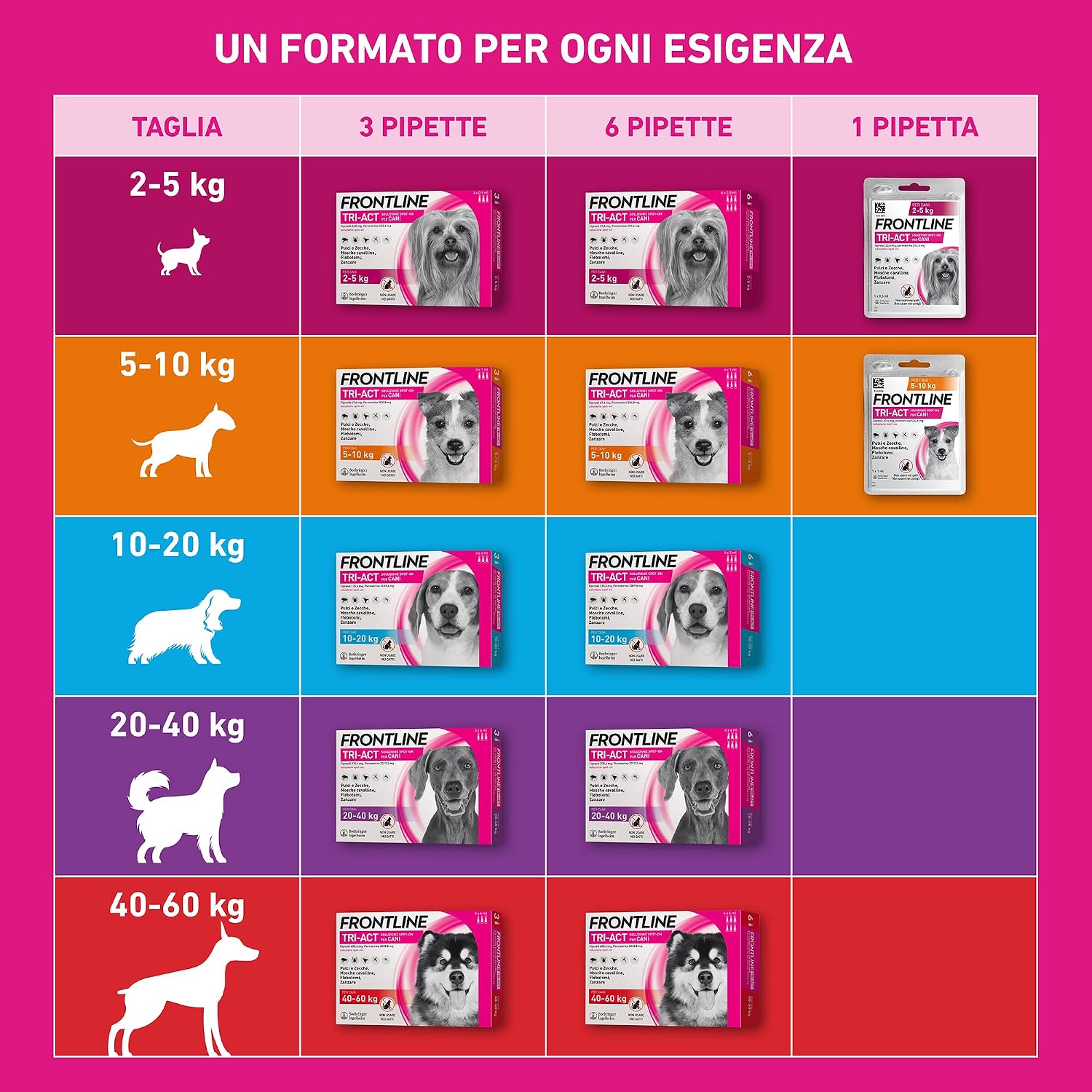 Detalle de Frontline Tri-Act x3 Antiparassitario Cani 5-10 Kg – Protezione contro pulci, zecche, zanzare e flebotomi