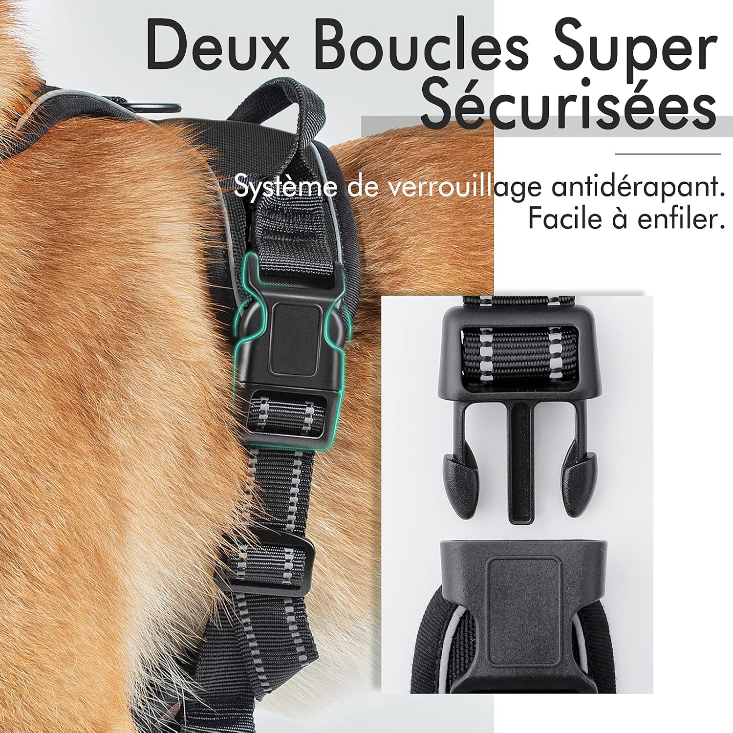 Thumbnail 6 de Rabbitgoo Harnais Chien Réglable Gilet avec Poignée et Réflectant — Taille M (41-56 cm/38-71 cm)