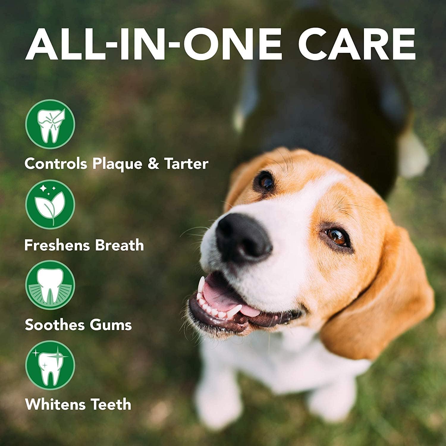 Detalle 2 de Vet’s Best Welpen Dental Kit 100 g