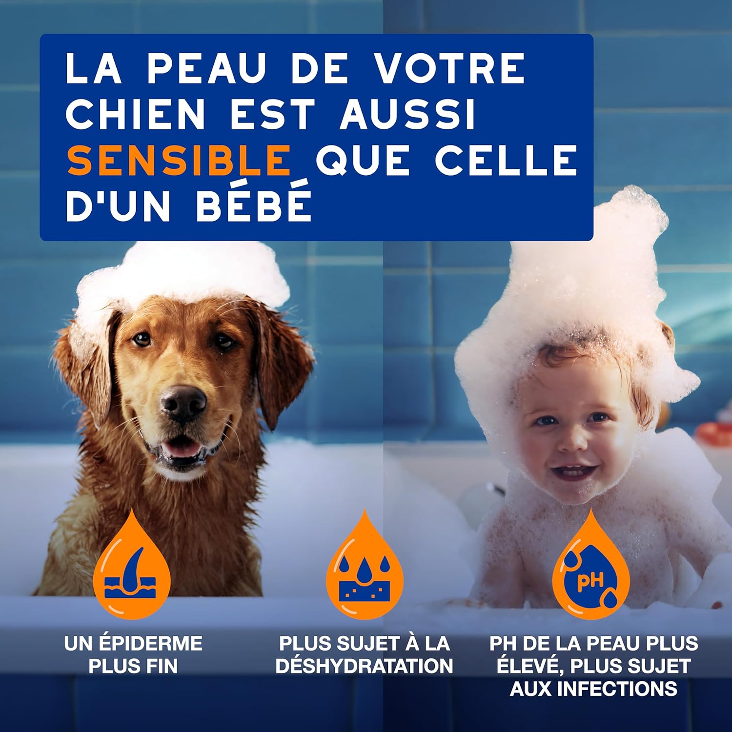 Detalle de DOUXO Skin & Coat Spa – Spray démêlant Ultra-Safe pour chiens, 340 mL