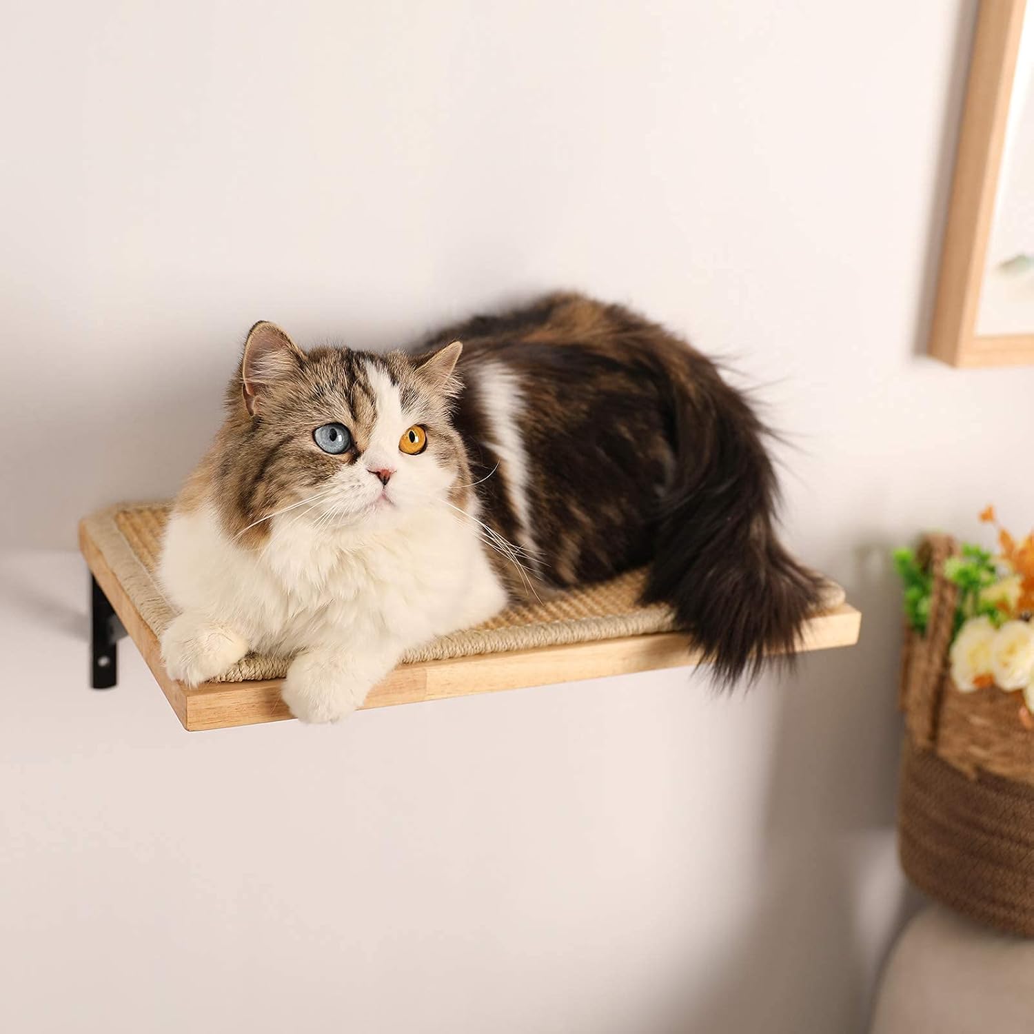 Thumbnail 5 de FUKUMARU Kletterwand Katzen 40x25 cm 🐾