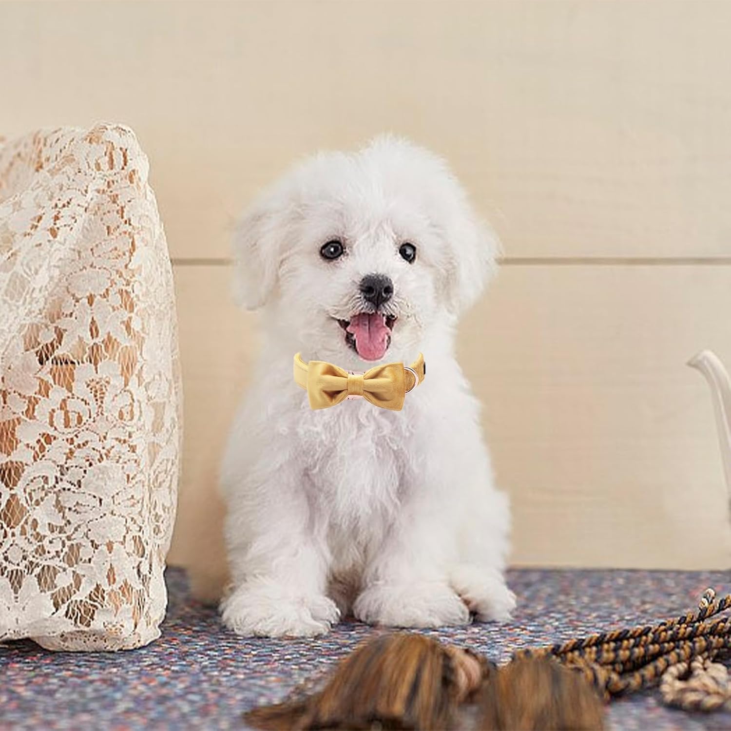 Thumbnail 3 de ARING PET Velvet Dog Collar-Bowtie set (soft velvet collar with bow) – collar size S