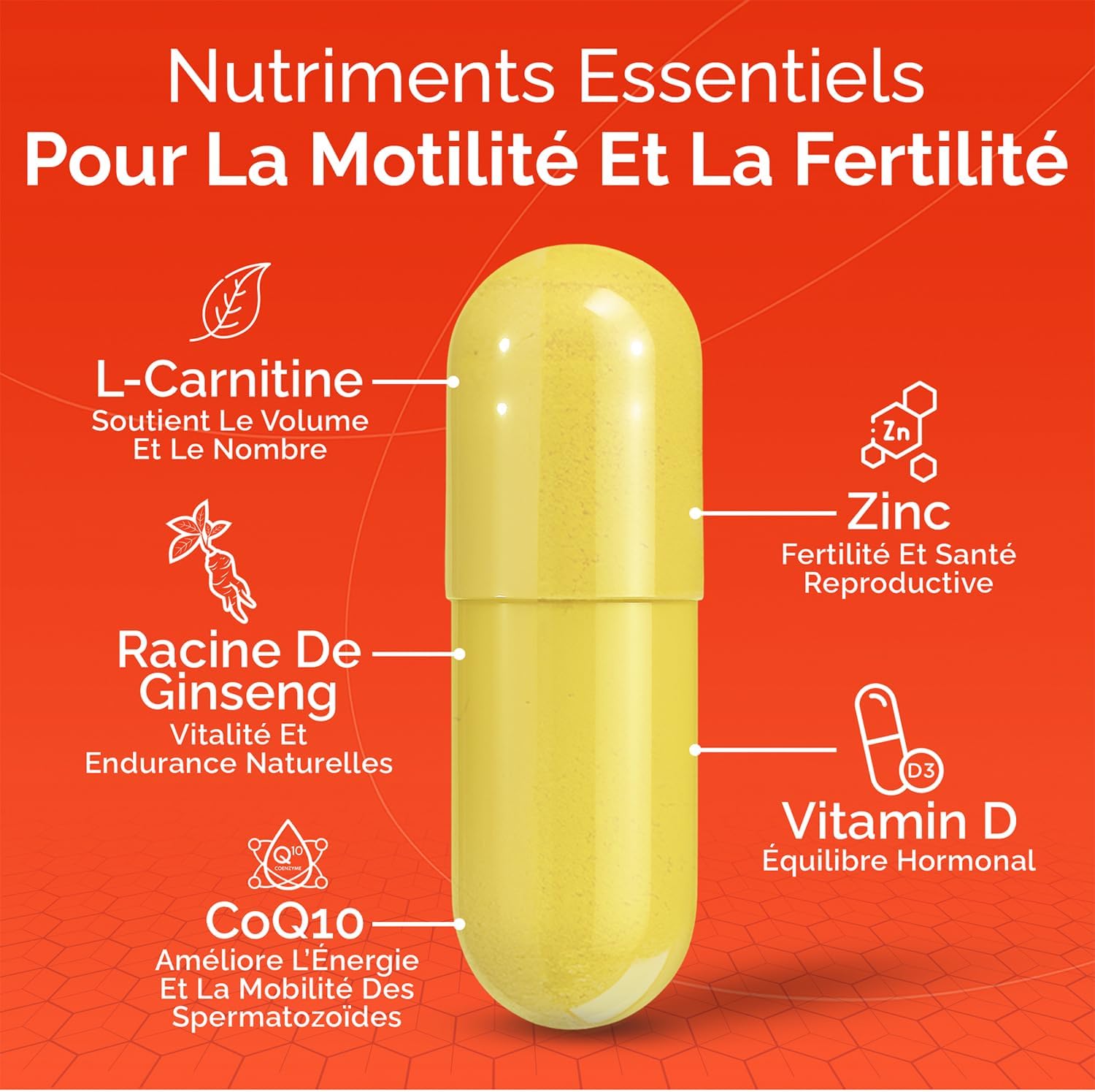 Detalle 2 de CONCEIVE PLUS Motiliteitsondersteuning, 60 capsules voor mannelijke vruchtbaarheid