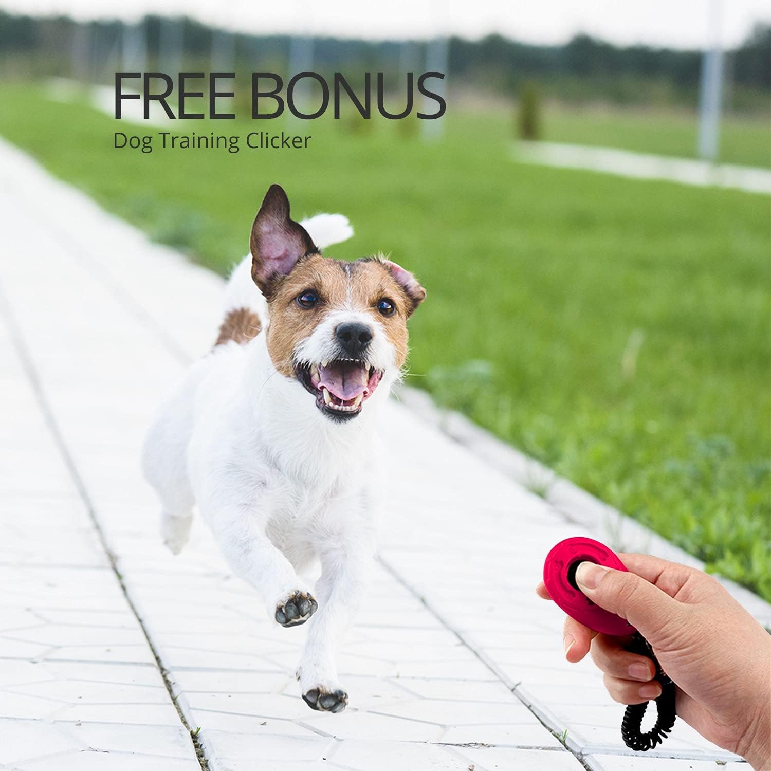 Detalle 2 de CFMOUR Retractable Dog Lead 5m 20kg