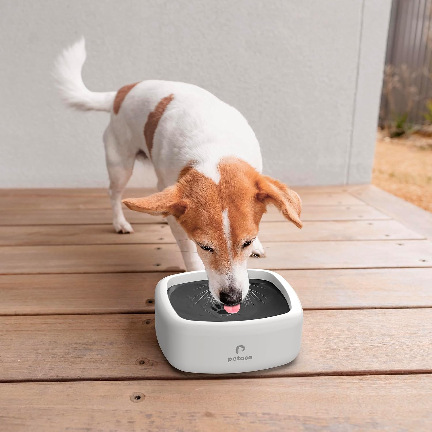 Thumbnail 6 de Petace Dog Water Bowl: 1.3 L Non-Spill, Splash-Proof & Slow-Feeder for Dogs