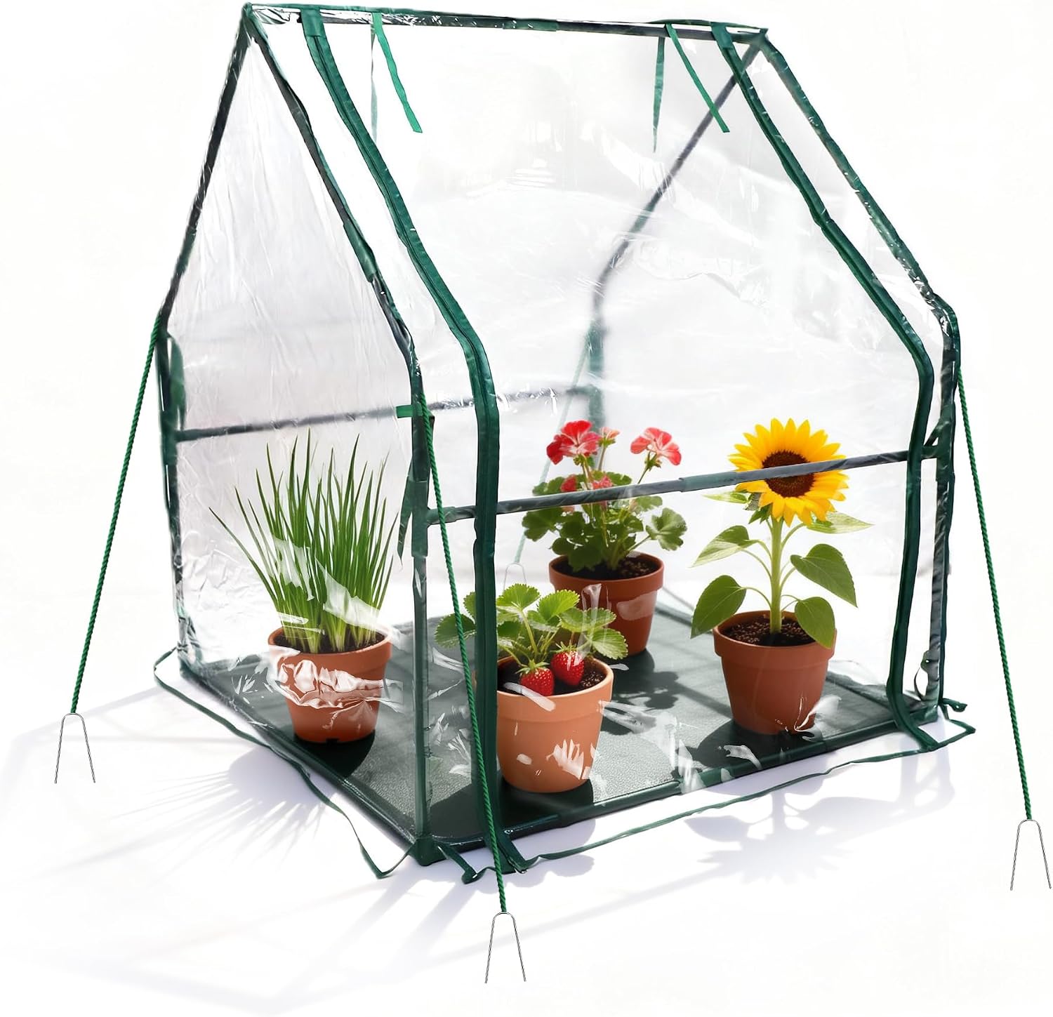 Detalle de PROWORX Mini Greenhouse 36 x 36 x 42 inches